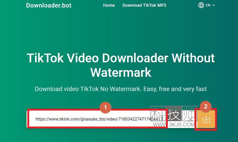 在线工具_Downloader.bot（– tiktok视频下载(含教程)）